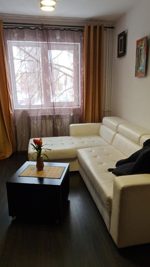 Zenapartment Brasov Bagian luar foto