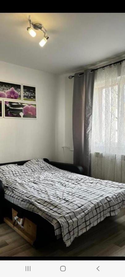 Zenapartment Brasov Bagian luar foto