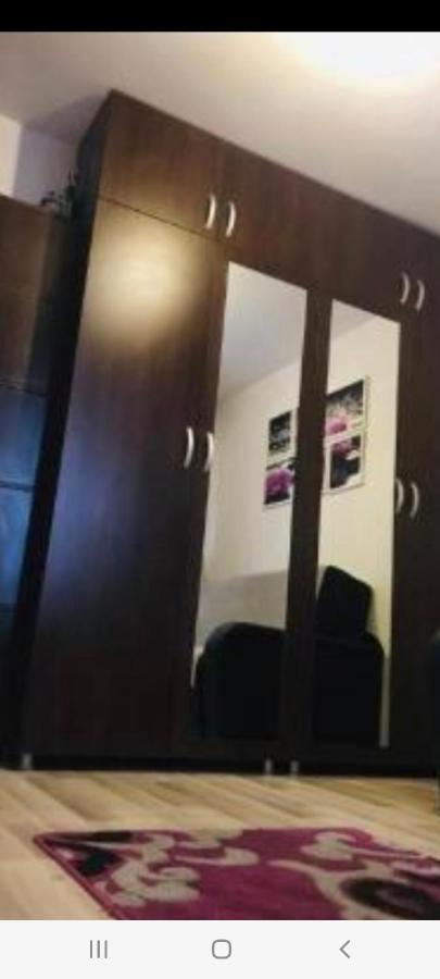 Zenapartment Brasov Bagian luar foto