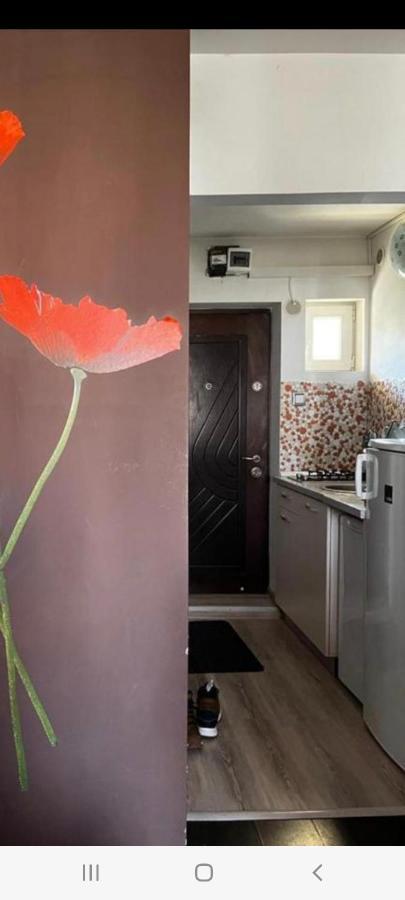 Zenapartment Brasov Bagian luar foto