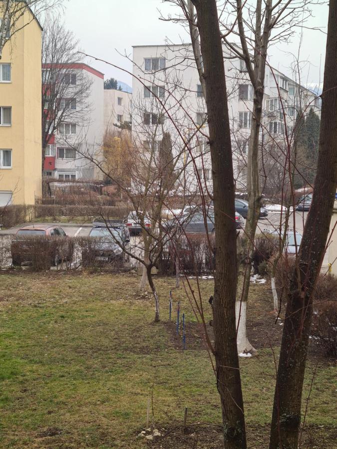 Zenapartment Brasov Bagian luar foto